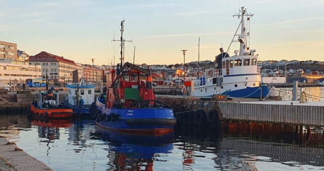 Sandinges bogserbåtar vid ångbåtsbryggan i Lysekil. Foto: Ann-Charlotte Strömwall.